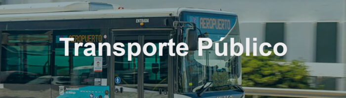 15. transporte publico copia