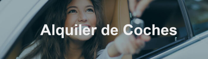21. alquiler coches copia