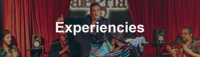 20. experiencias copiaen