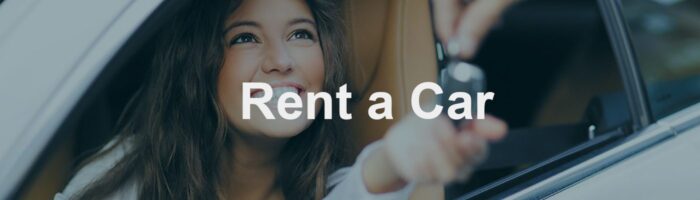 21. alquiler coches copiaen