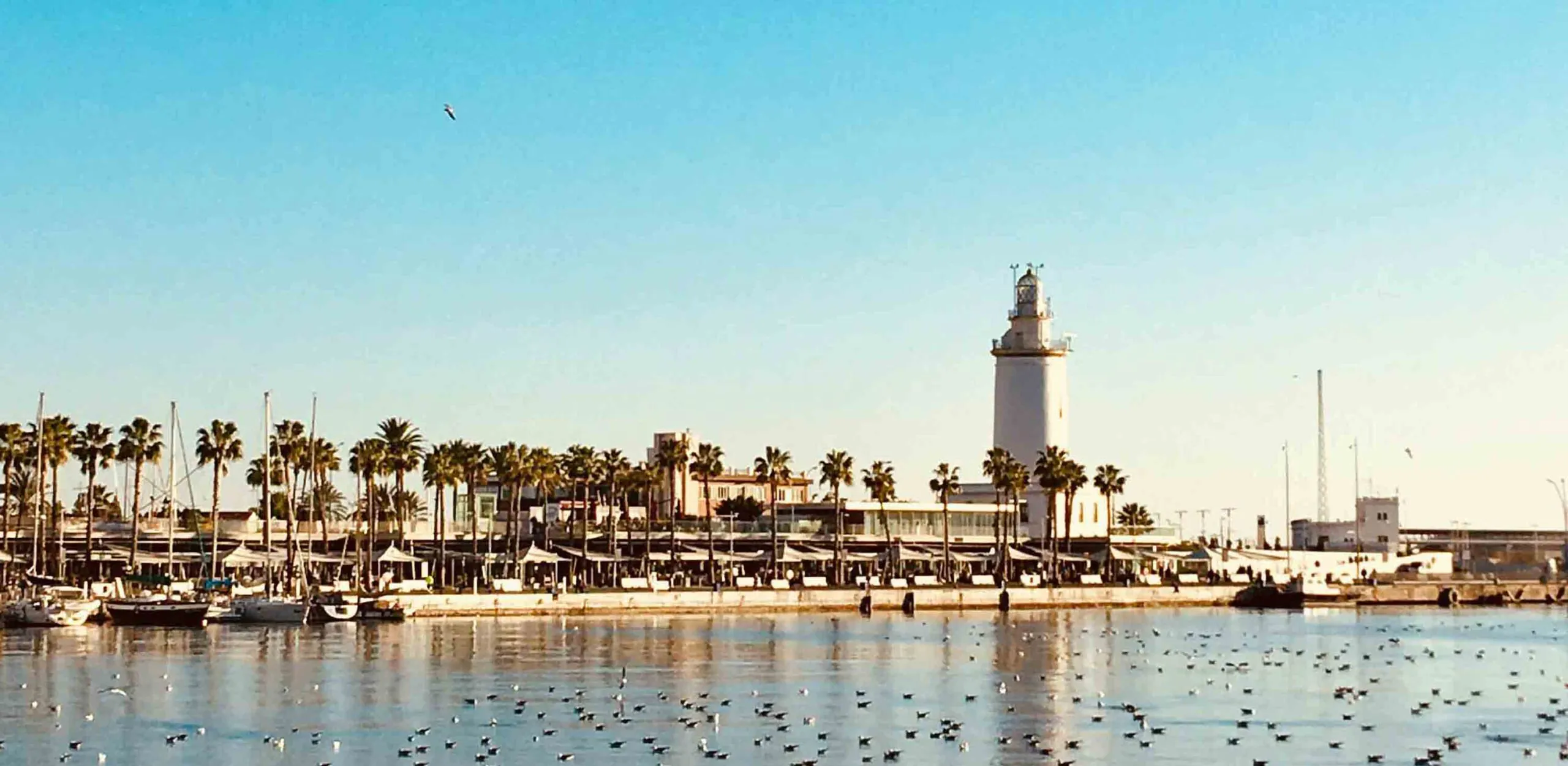 puerto malaga