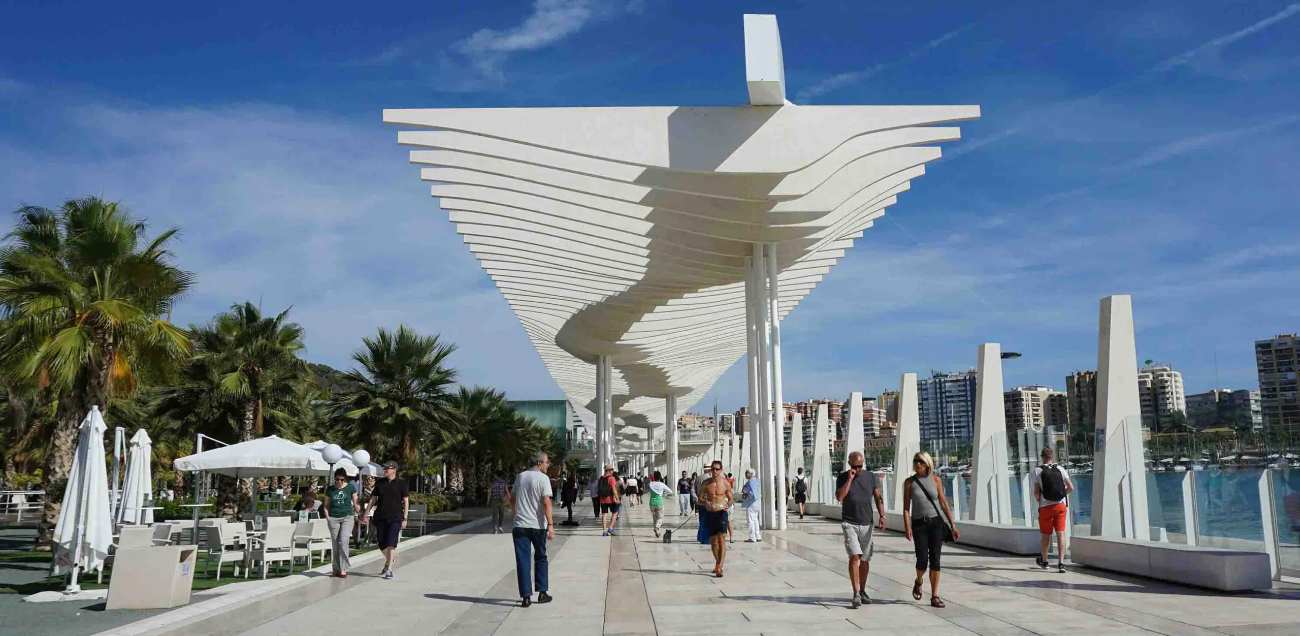 Palmeral de las sorpresas muelle uno